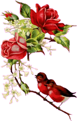 fleurs et nature (77).gif